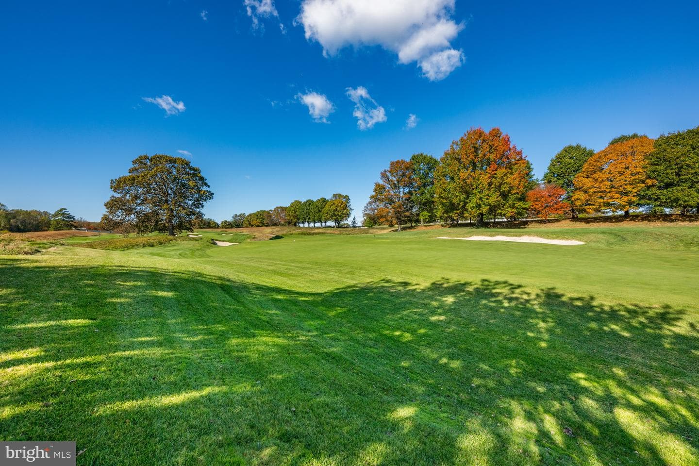 18 Beman Woods Court photo 58