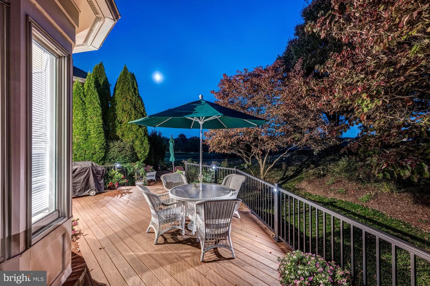 18 Beman Woods Court photo 63