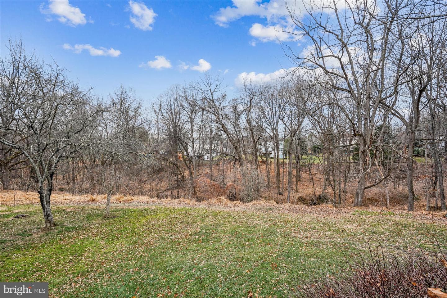 14808 Keeneland Circle photo 44