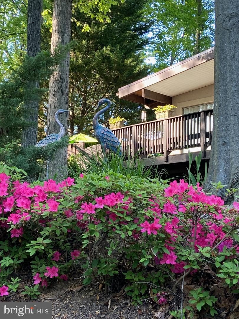 900 Azalea Drive photo 41