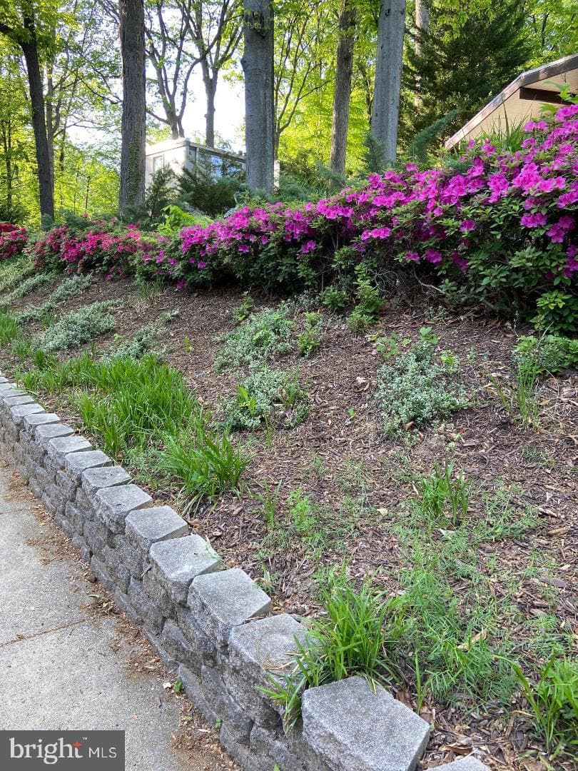 900 Azalea Drive photo 46