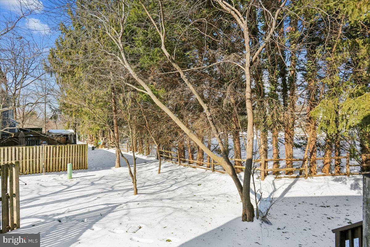 3531 Dartmoor Lane #11 photo 37