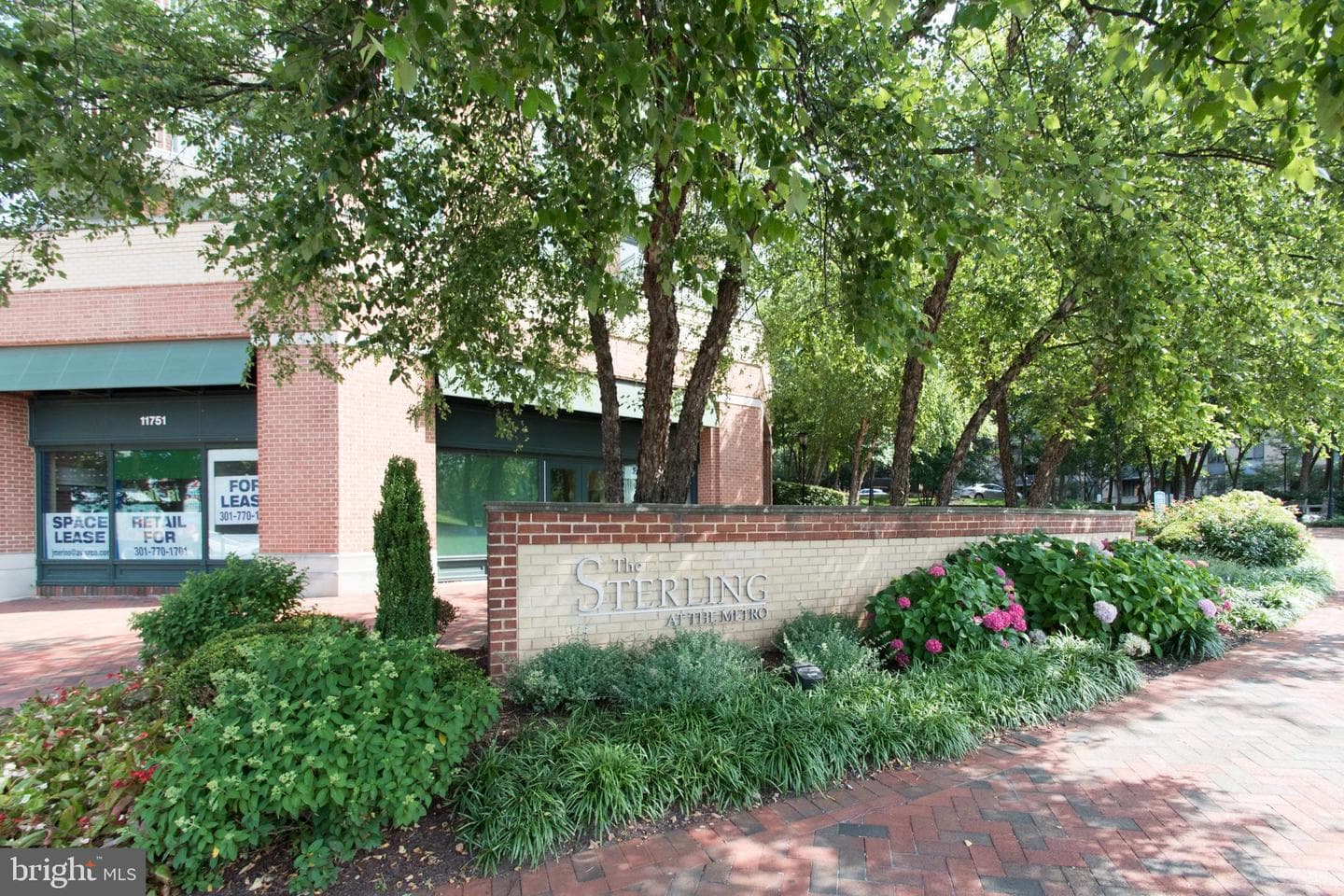 11700 Old Georgetown Road #807 photo 2