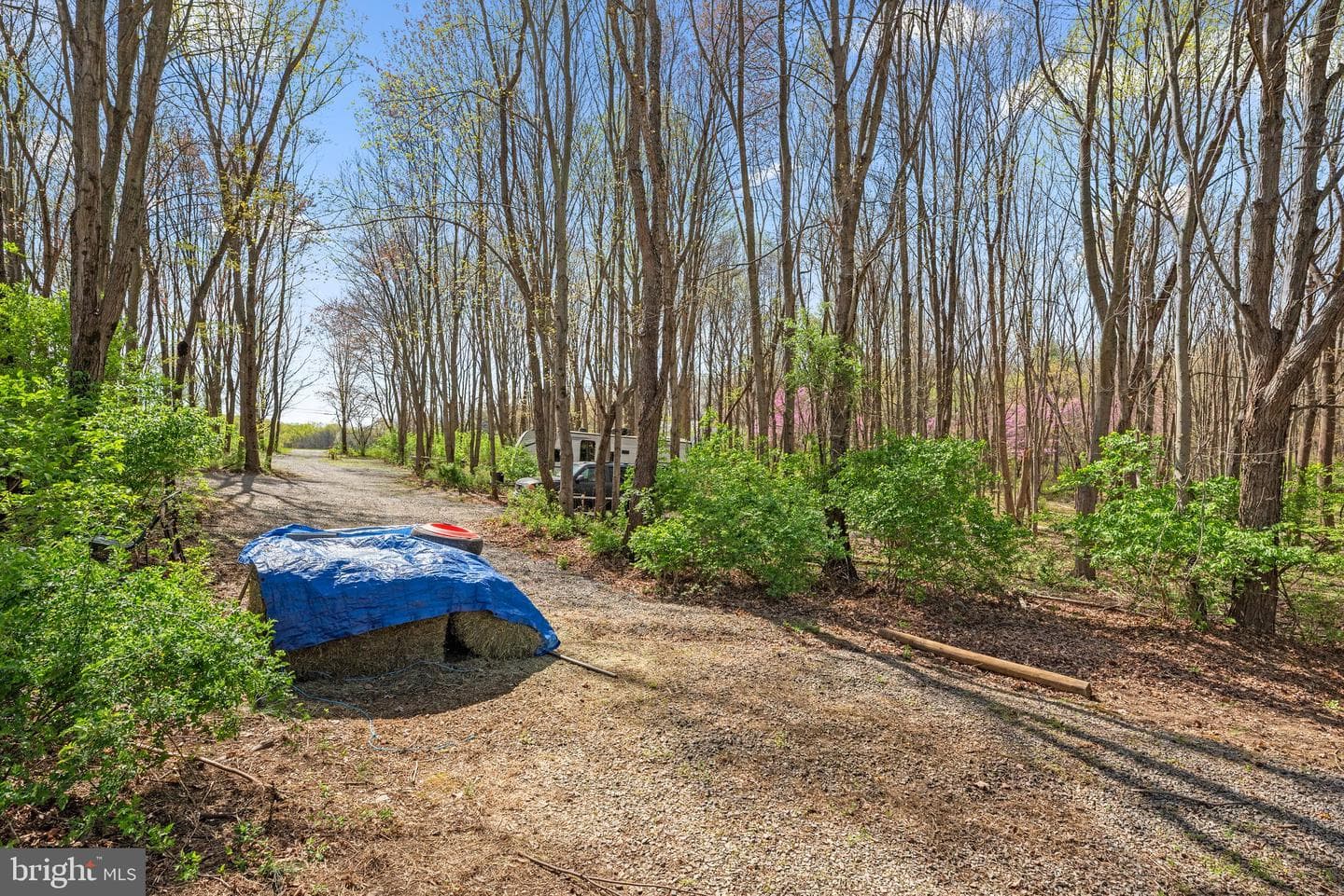 10855 Bethesda Church Road photo 78
