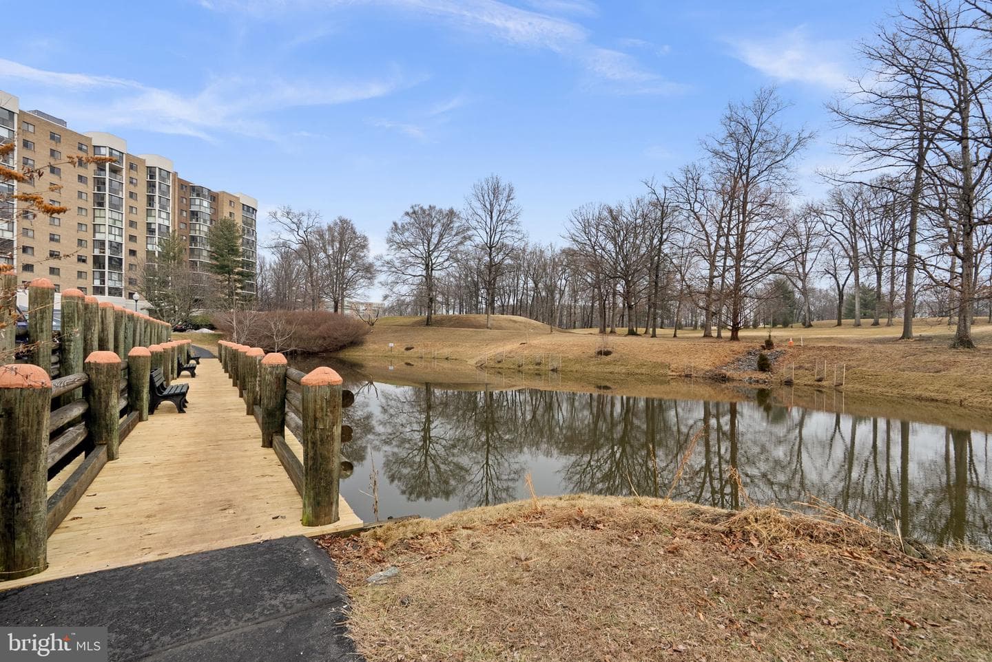 15101 Interlachen Dr # 1-705 photo 14