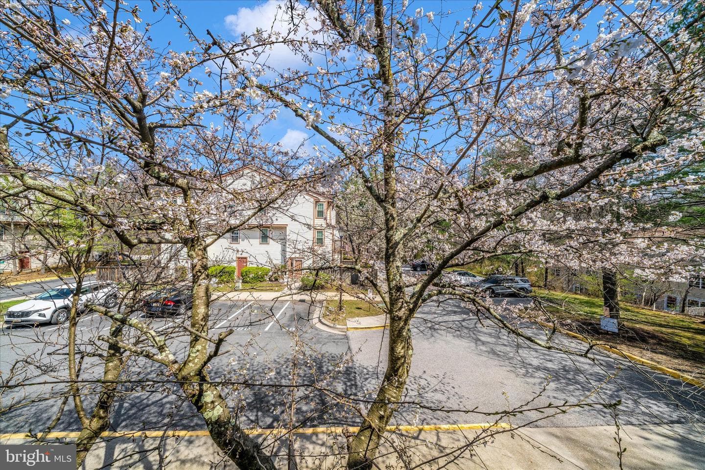 14633 Monmouth Drive #10-110 photo 44