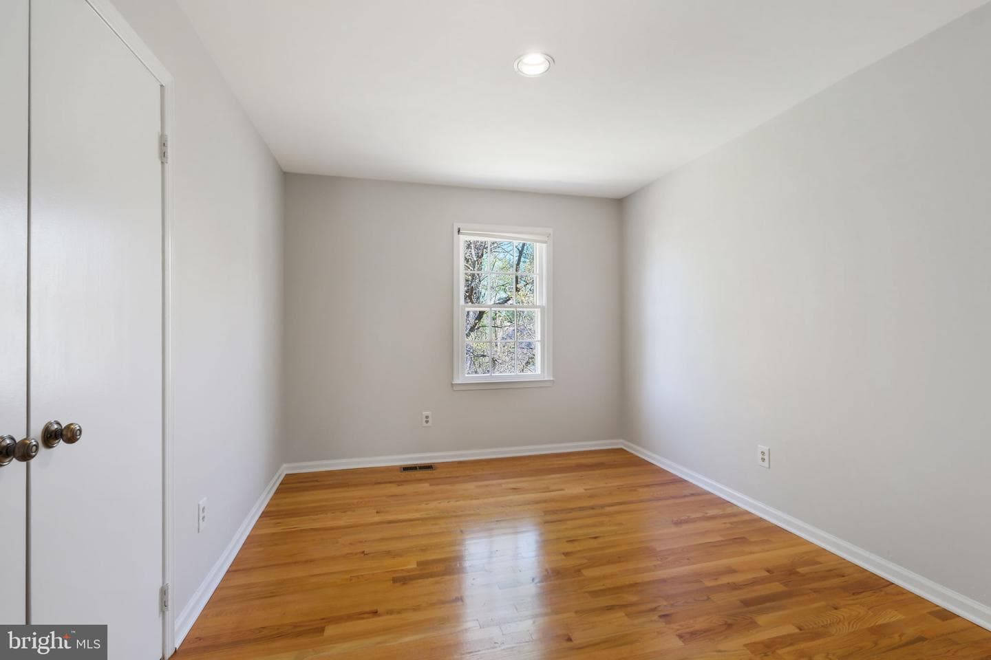 5 Canfield Court photo 30