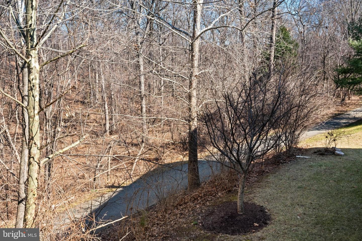 509 Oak Knoll Terrace photo 33
