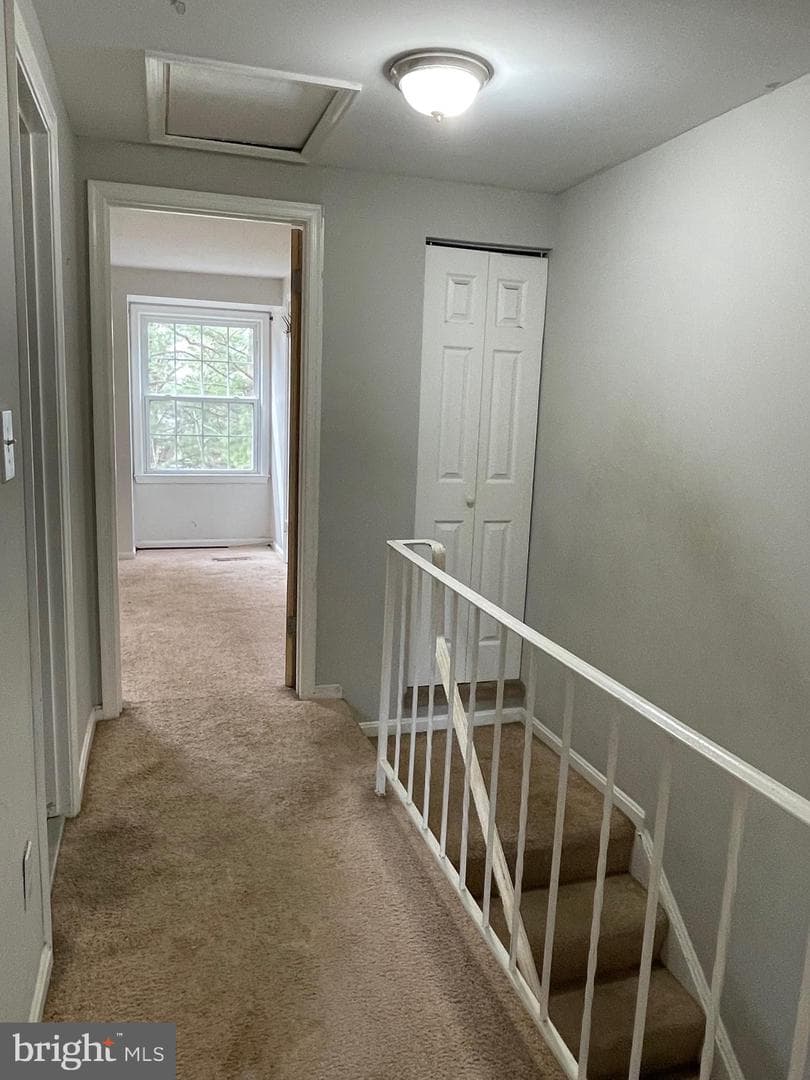 20503 Strath Haven Drive photo 11