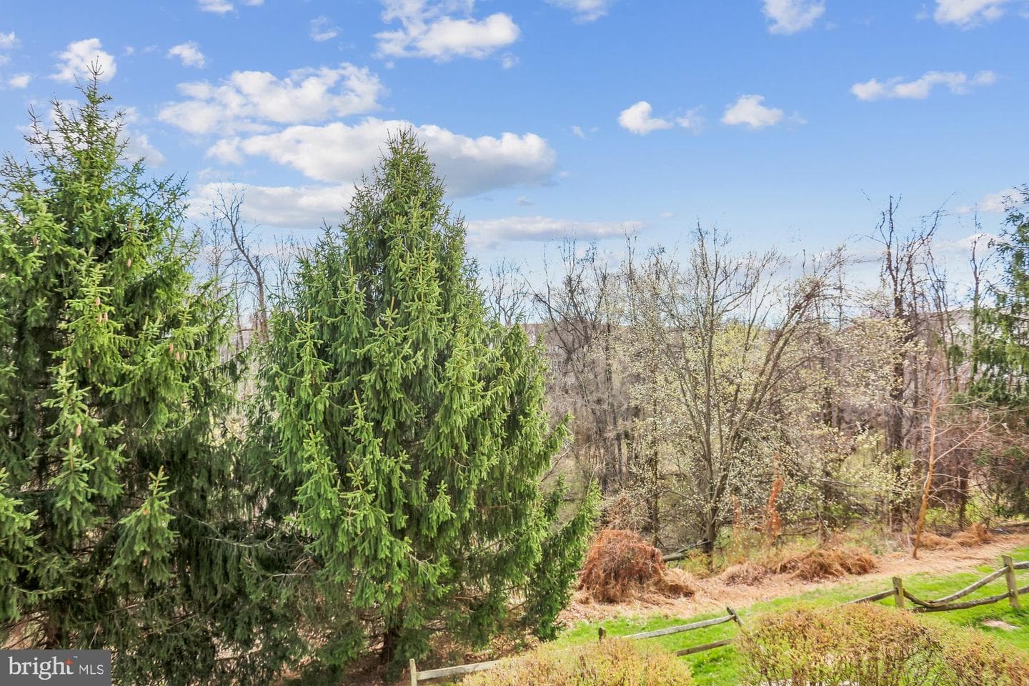 150 Chevy Chase Street #205 photo 26