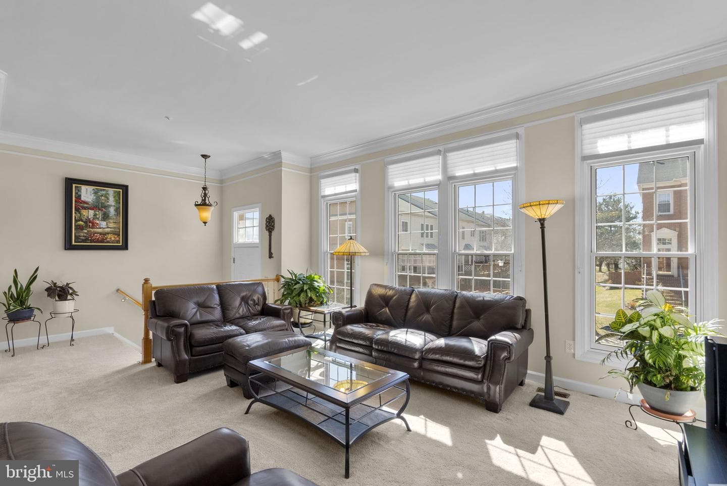 10407 Flowerfield Way photo 8