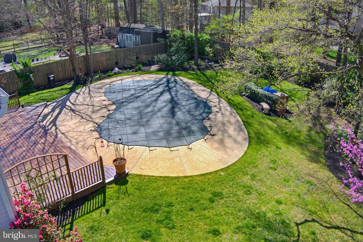 1017 Windmill Lane photo 45