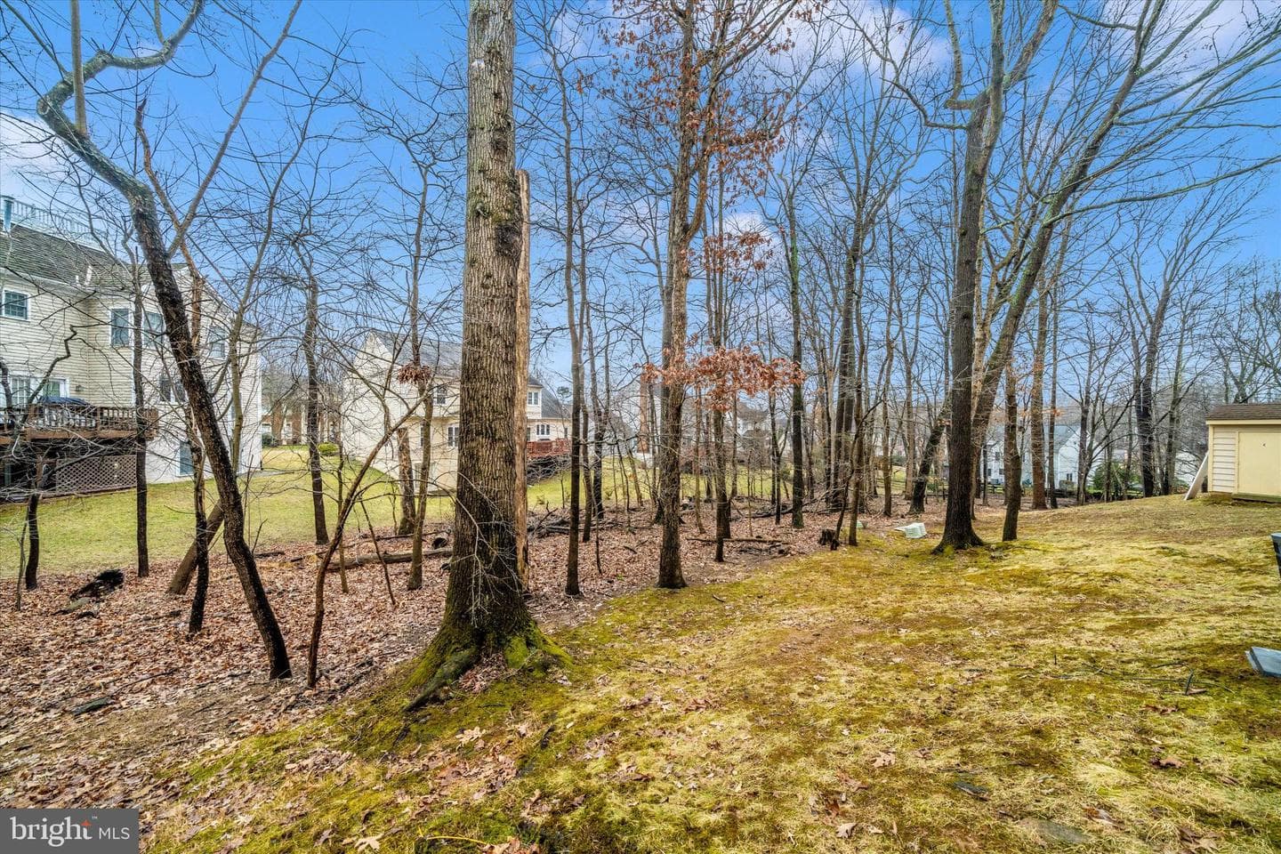 12312 Sweetbough Court #86 photo 36