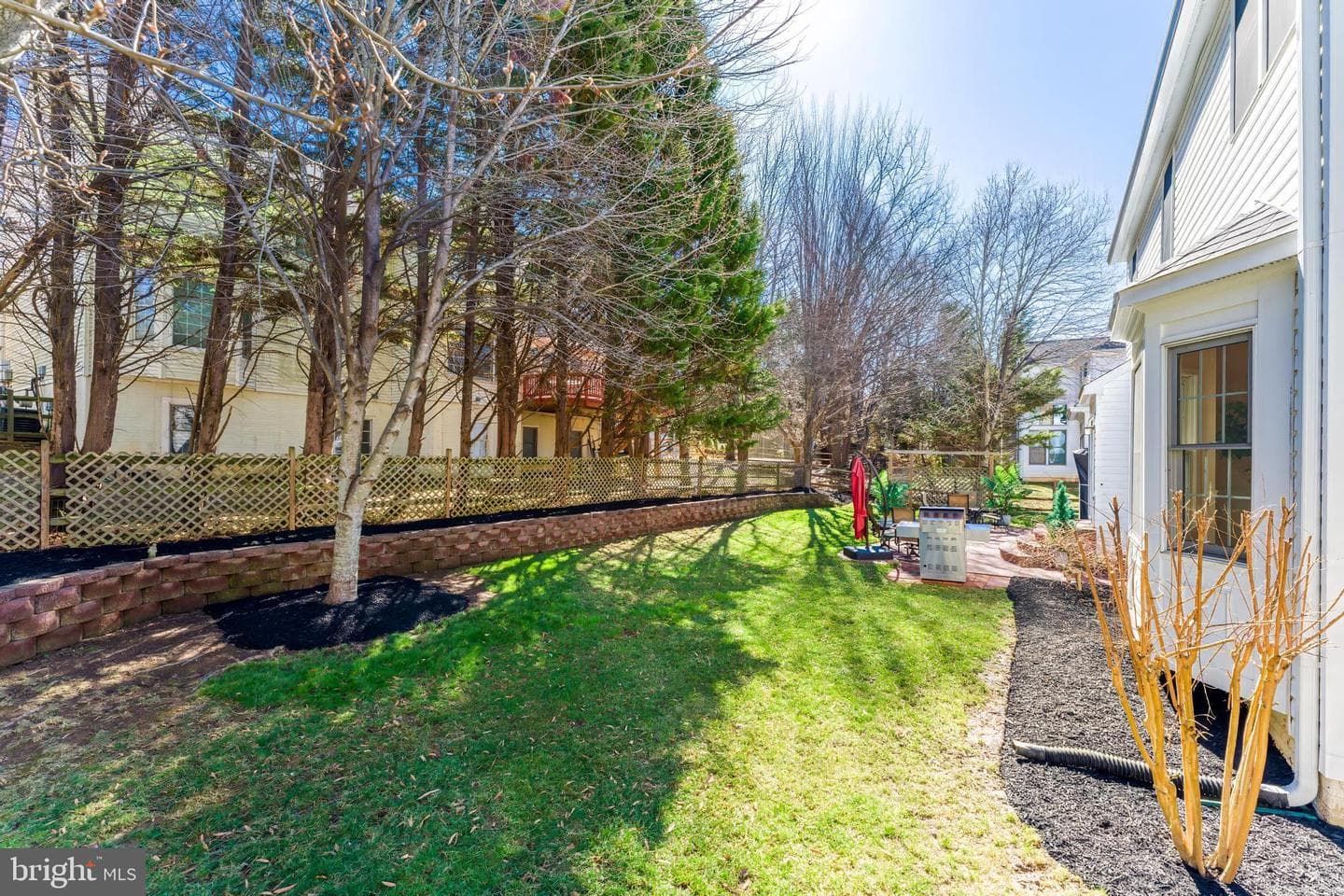 10005 Bald Cypress Drive photo 64