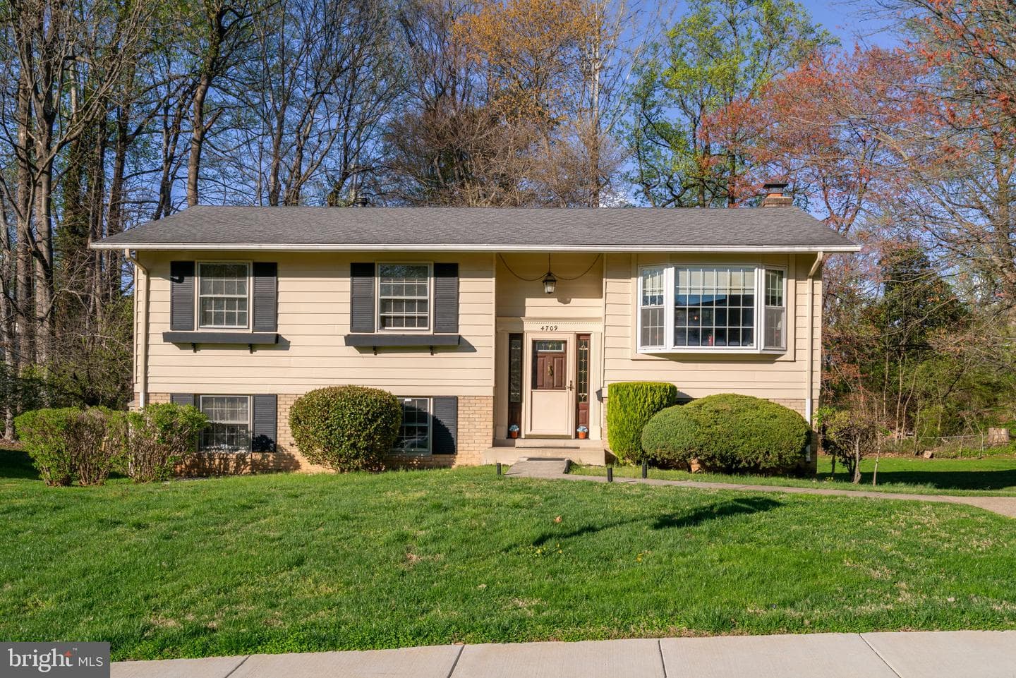 4709 Iris Place photo 3
