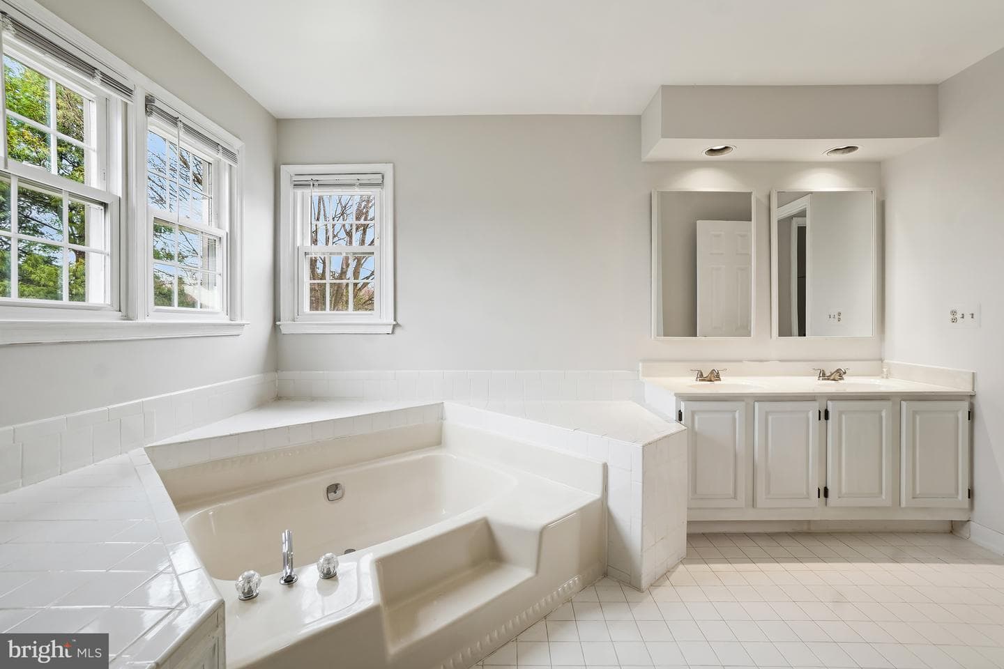 4 Leatherbark Court photo 32
