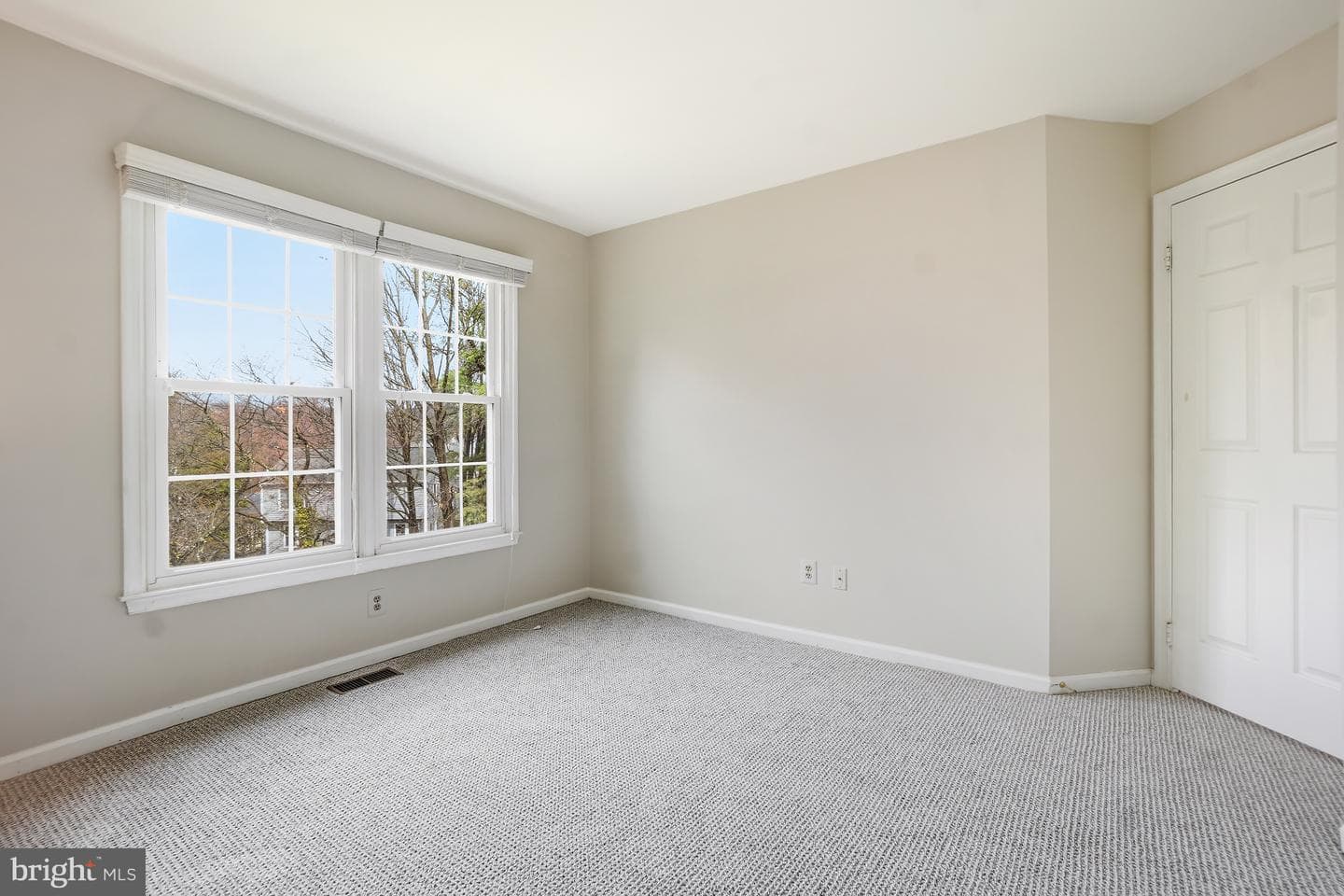 4 Leatherbark Court photo 38