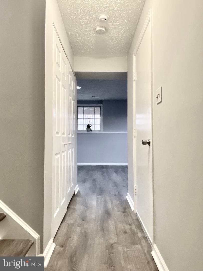 12421 Walnut Cove Circle photo 28