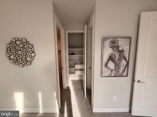 9756 Windflower Way photo 37