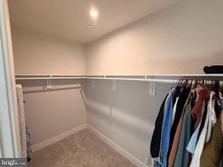 9756 Windflower Way photo 38