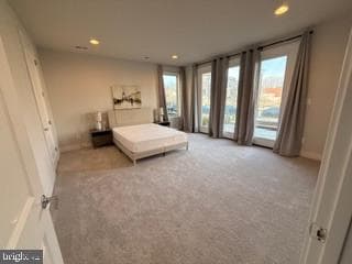 9756 Windflower Way photo 61