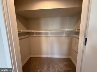 9756 Windflower Way photo 66