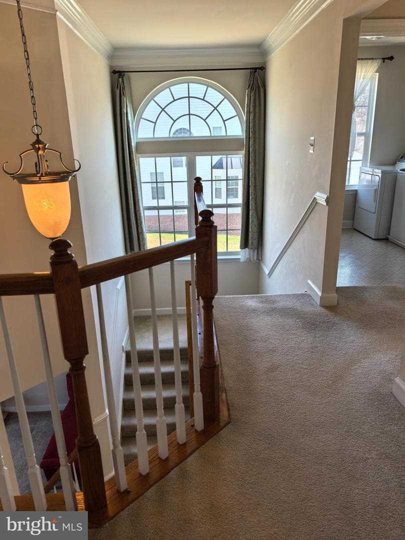23018 Sycamore Farm Drive photo 19