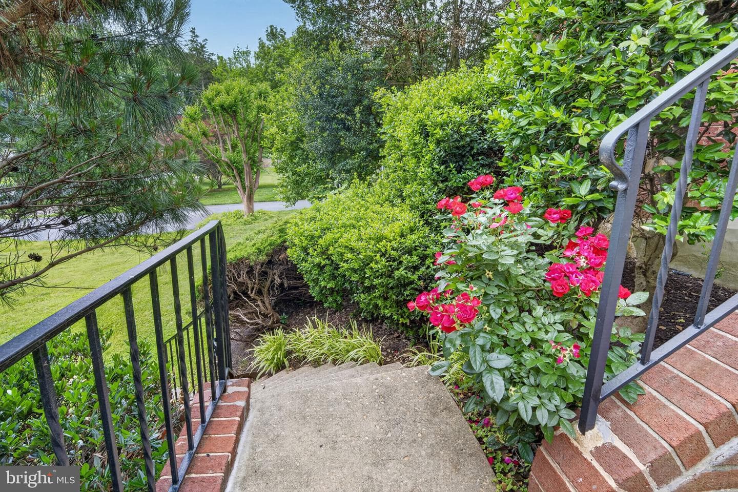 12704 Theresa Drive photo 14