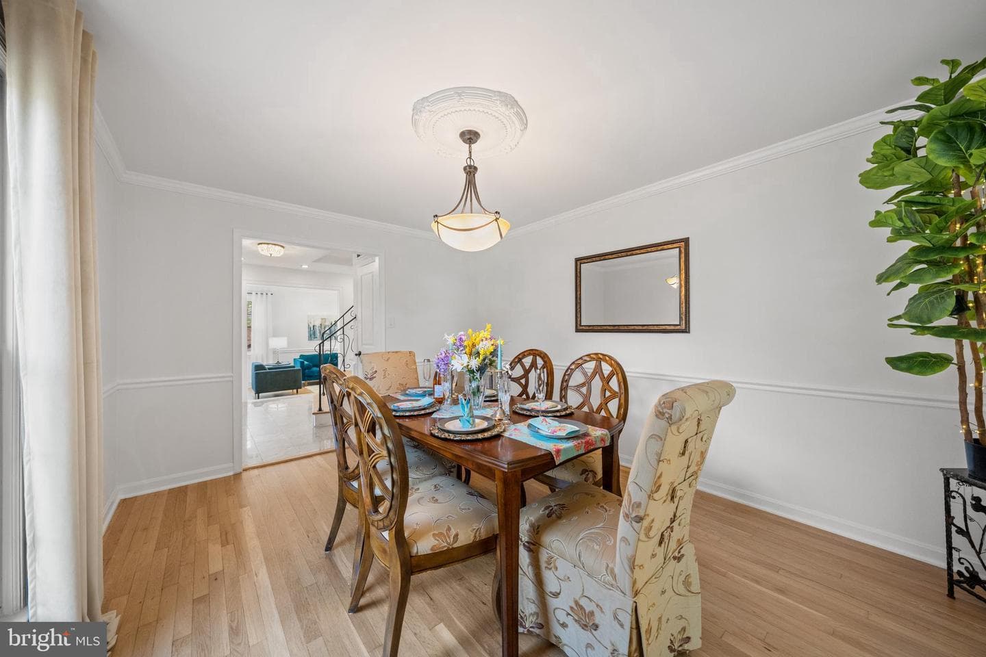12704 Theresa Drive photo 24