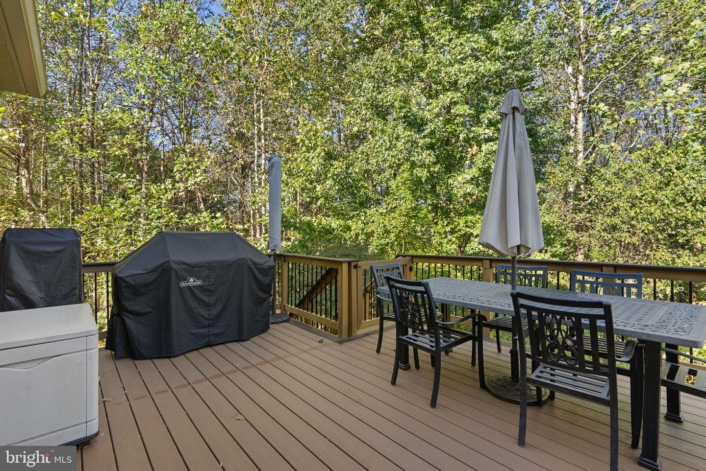 14123 Tattershall Place photo 57