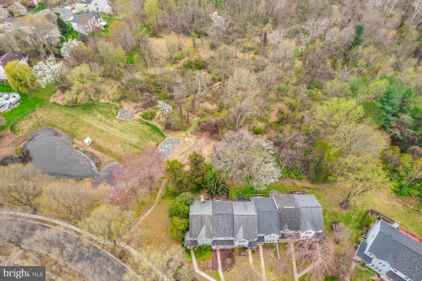 15602 Cliff Swallow Way photo 3