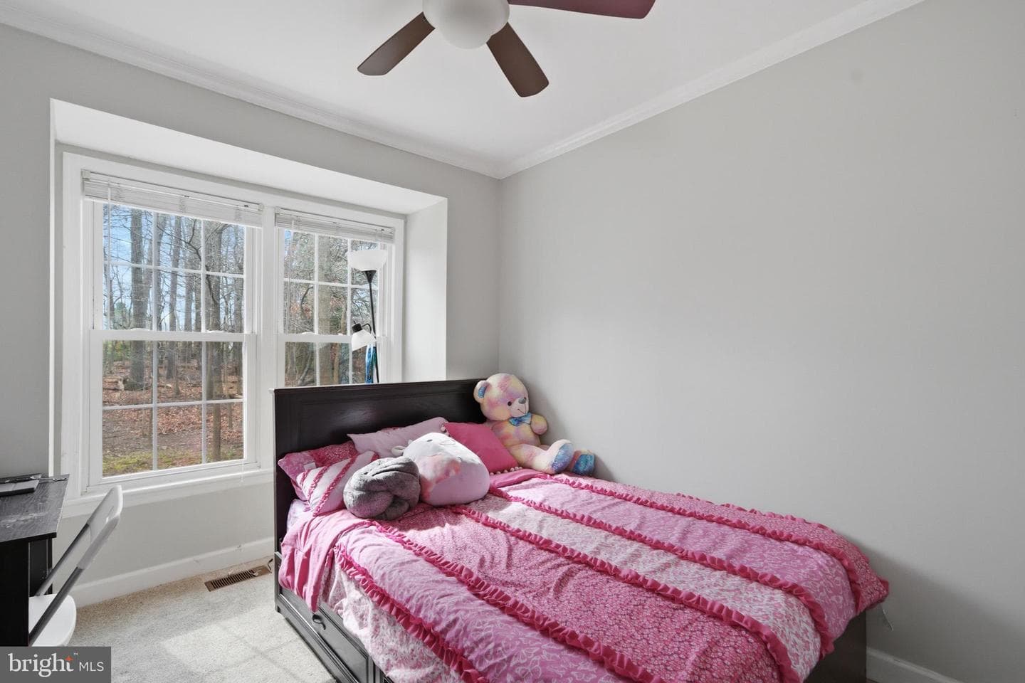 10025 Maple Leaf Drive photo 19