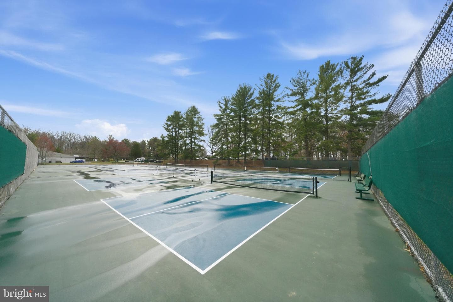 10025 Maple Leaf Drive photo 29