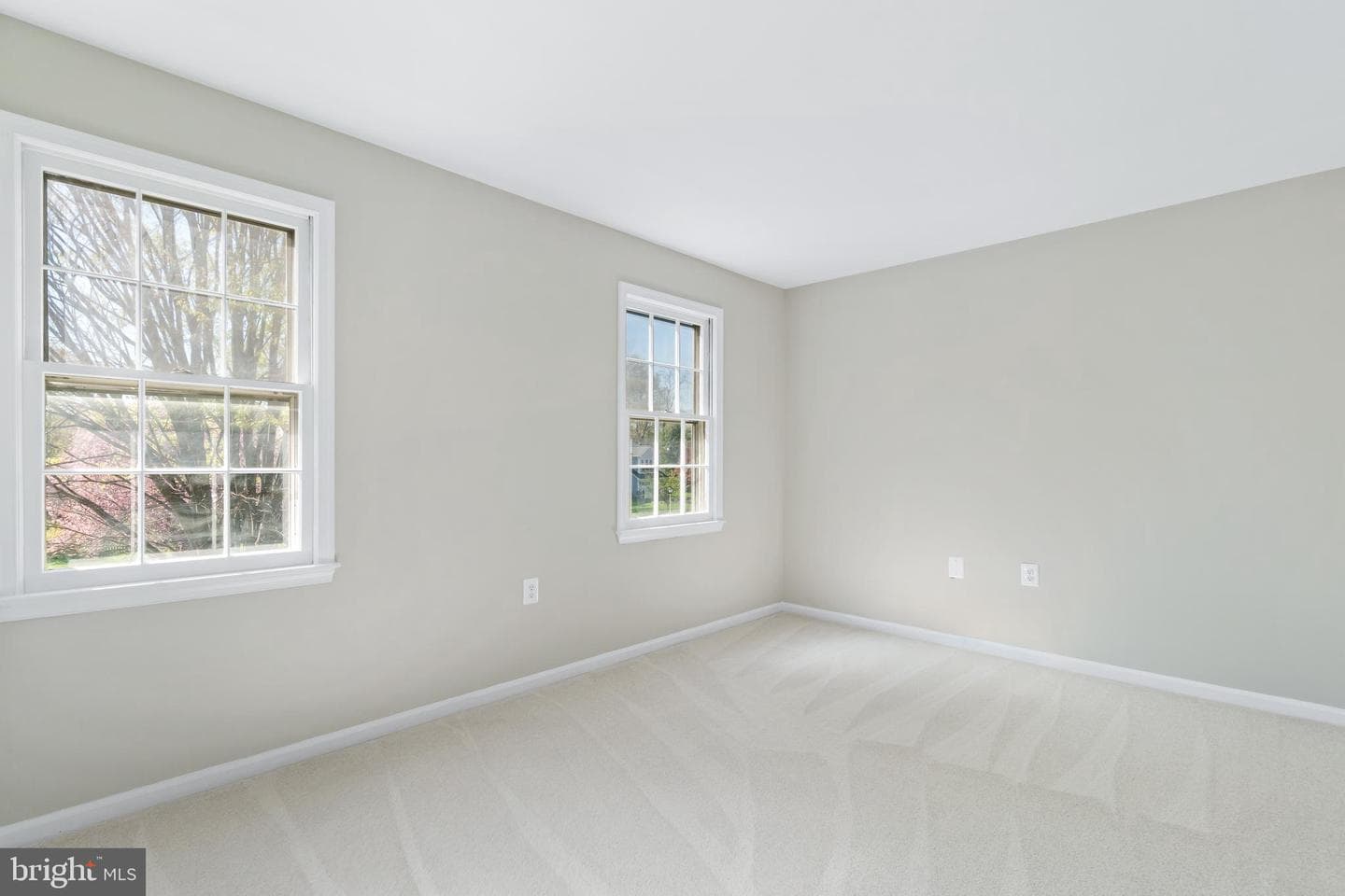 17009 Freedom Way photo 36
