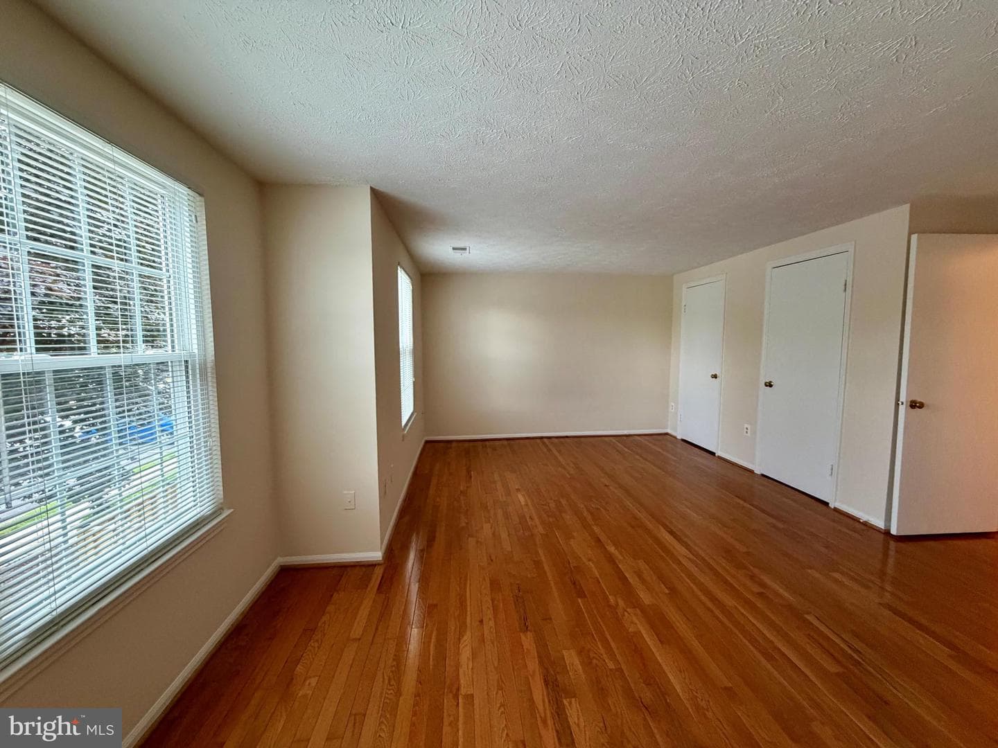 407 Palmtree Drive photo 23