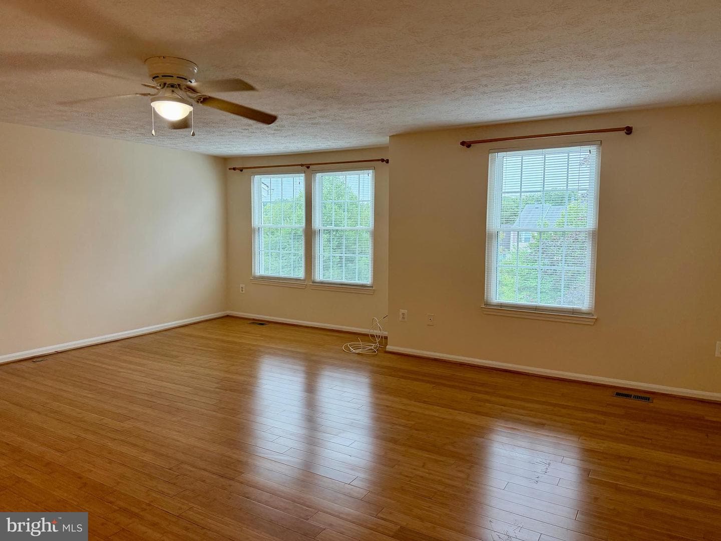407 Palmtree Drive photo 28