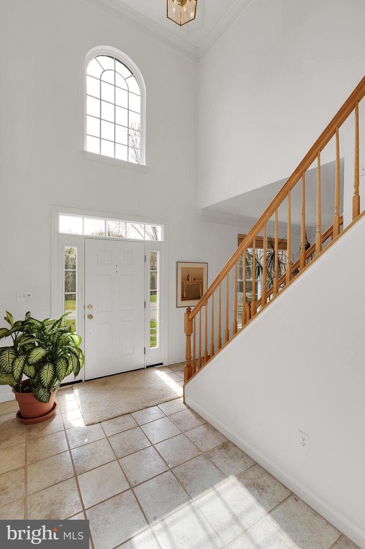 3006 Novak Terrace photo 11