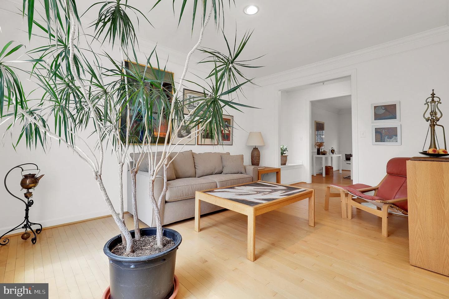 3006 Novak Terrace photo 13