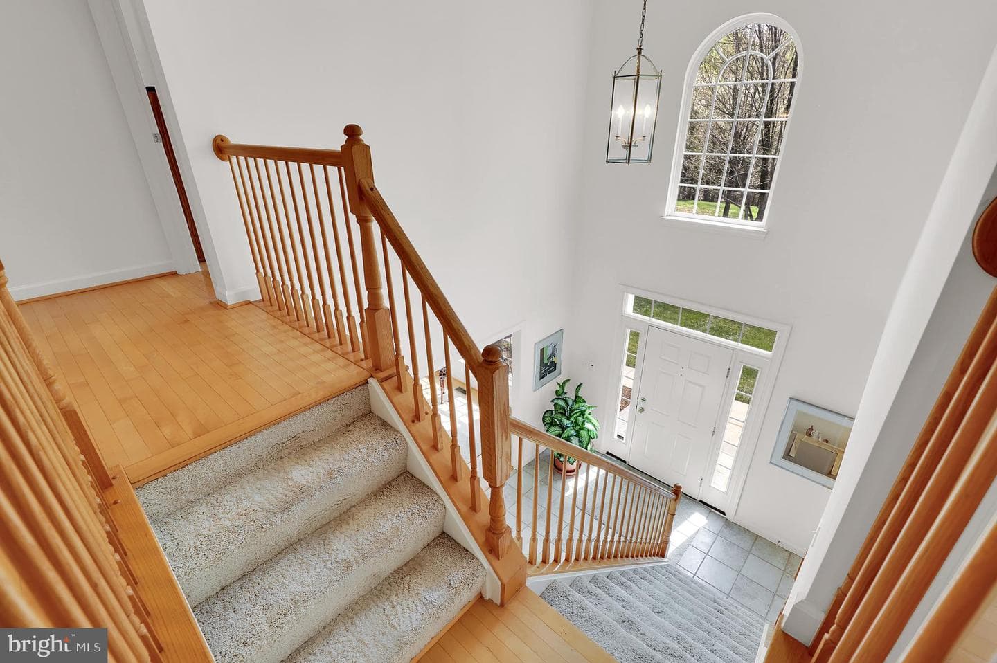3006 Novak Terrace photo 19