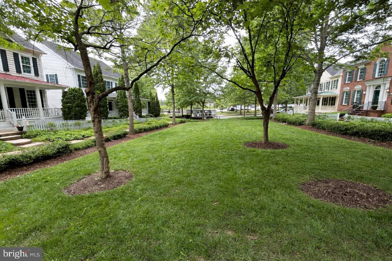1339 Main Street photo 58