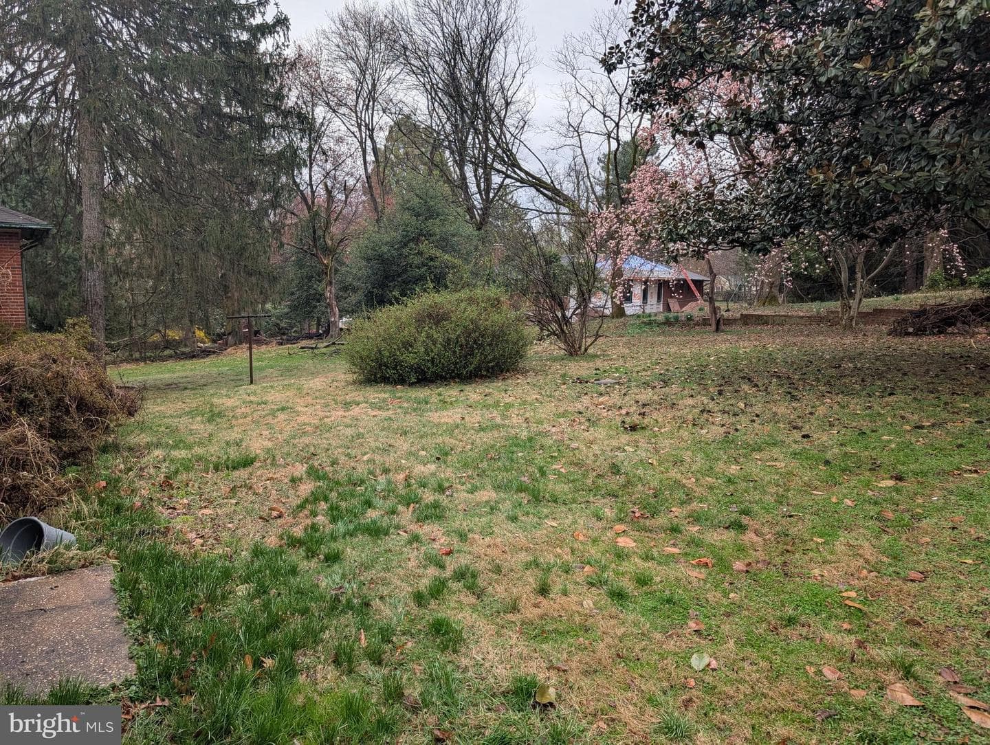 523 Copley Lane photo 6
