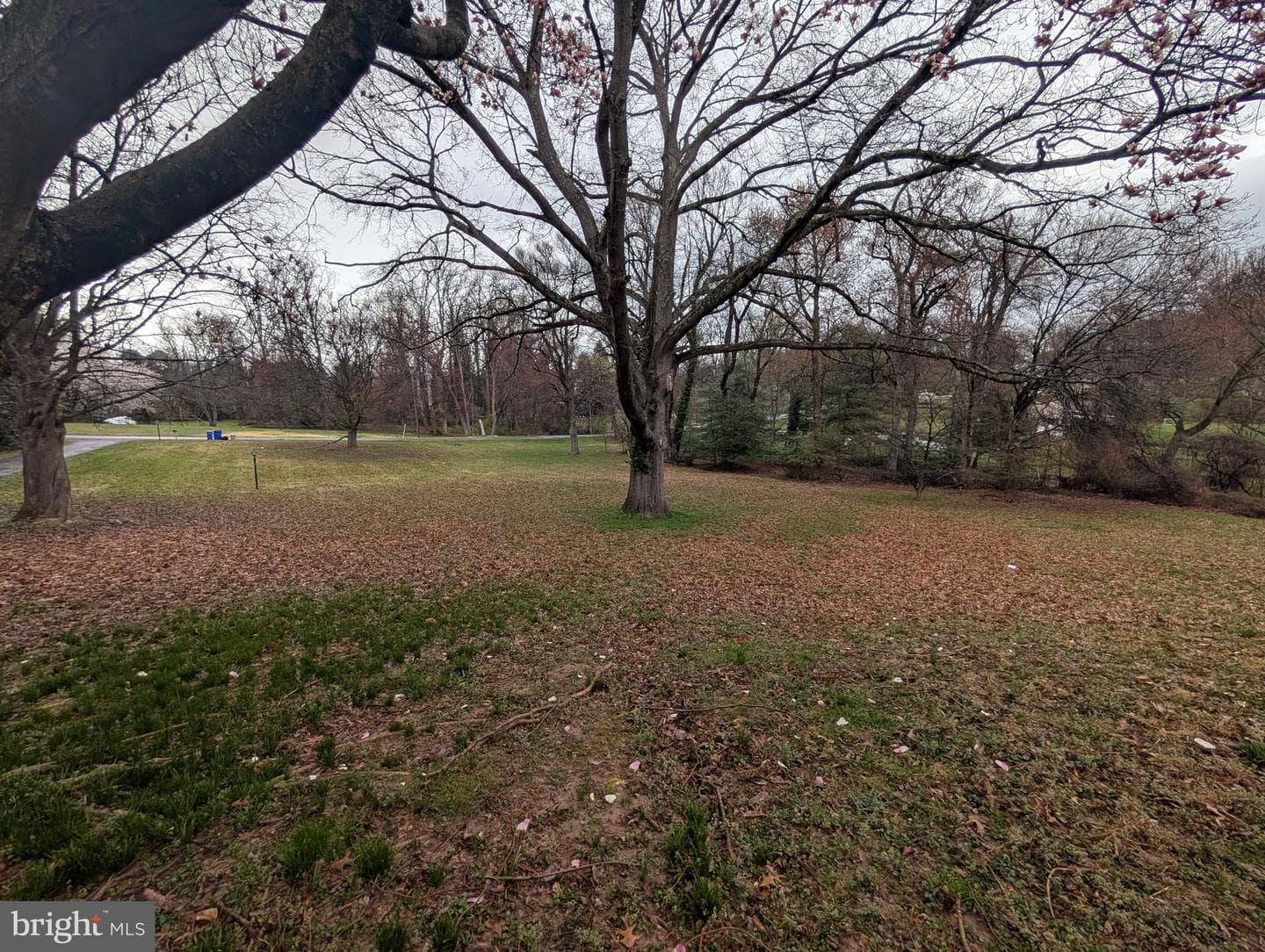 523 Copley Lane photo 9