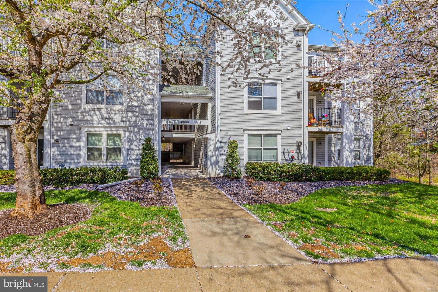 10007 Vanderbilt Circle #12 photo 3