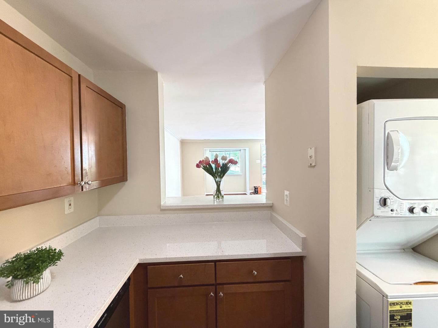 31 Stoney Point Court photo 12