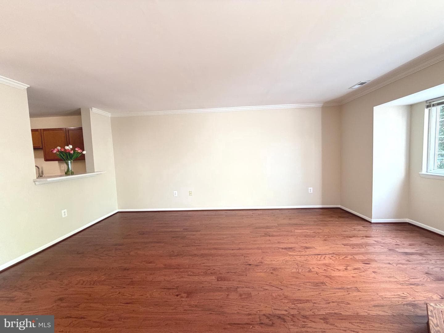 31 Stoney Point Court photo 21
