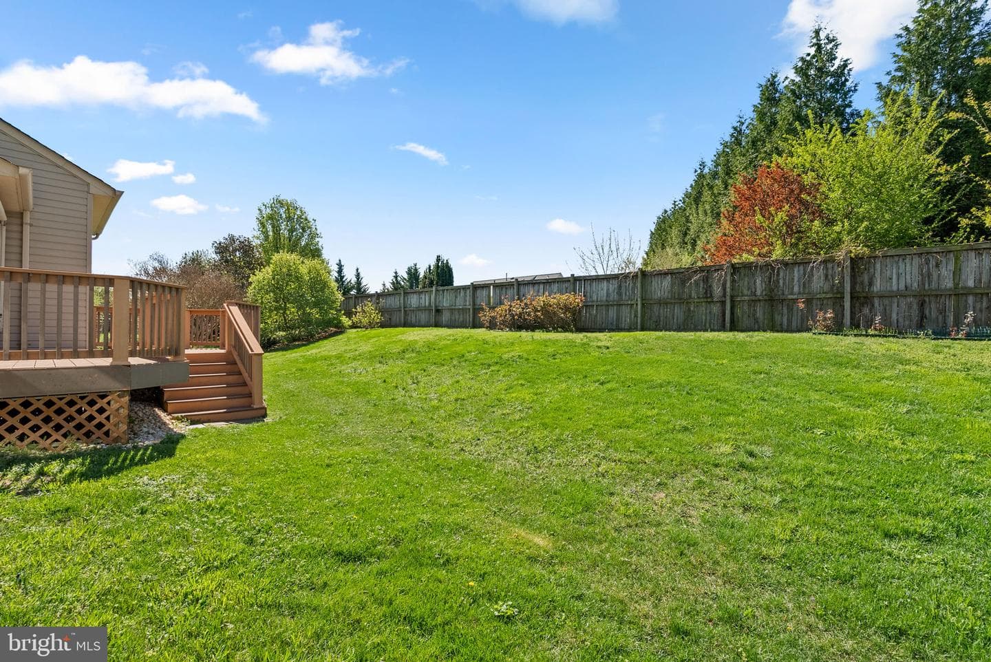14128 Bear Creek Drive photo 56