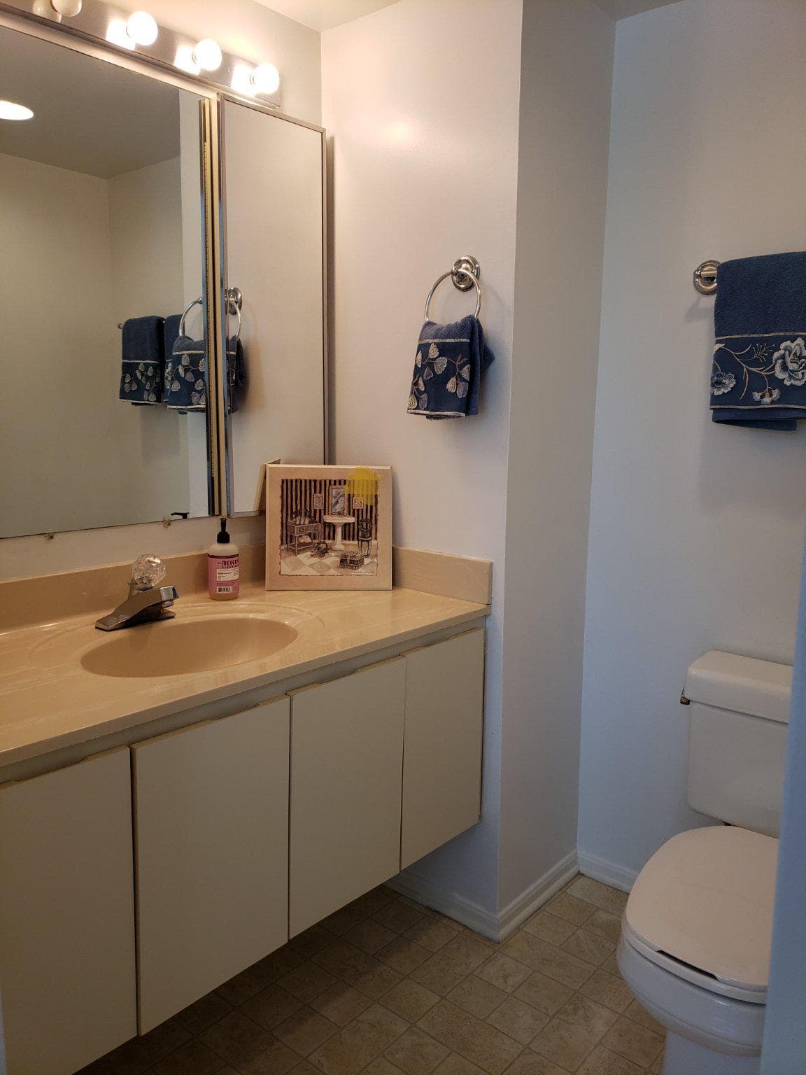 15100 Interlachen Drive #4-520 photo 18