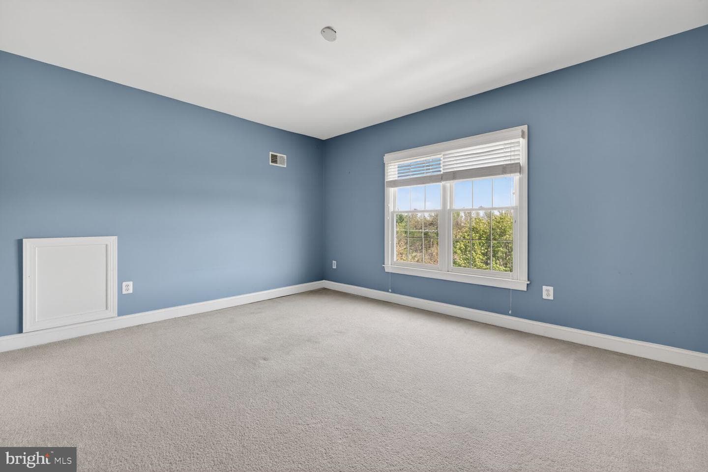 13904 Carlson Farm Drive photo 23