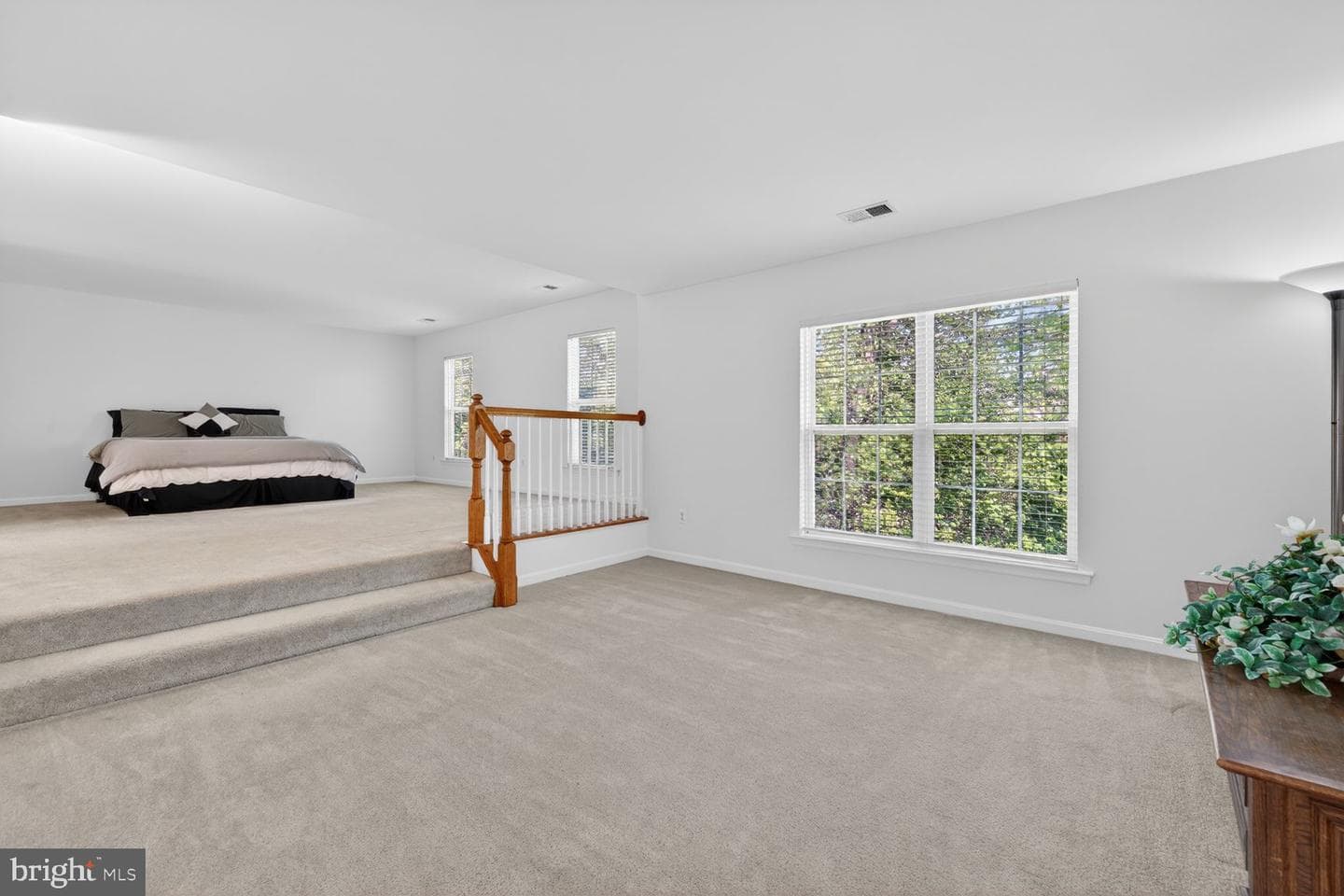 14034 Natia Manor Drive photo 20