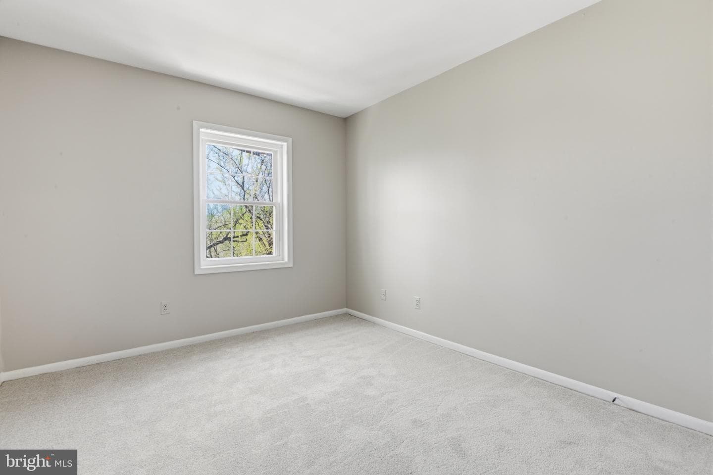 11835 Old Columbia Pike #42 photo 11